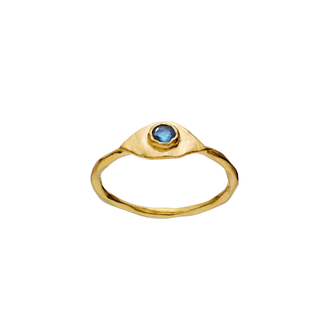 Hovedbilde Argos Ring Gull