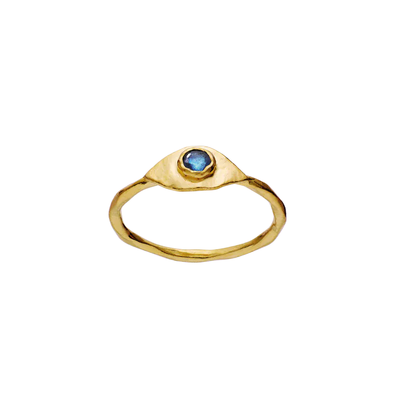 Argos Ring Gull