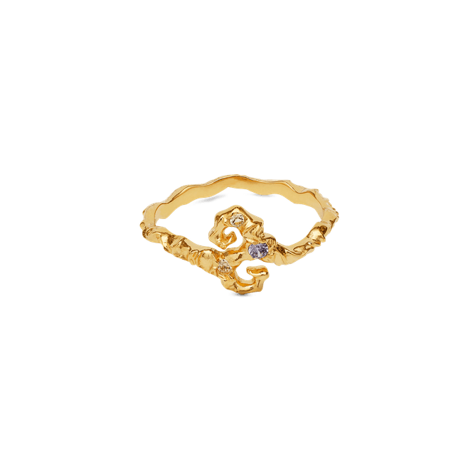 Hovedbilde Tenti Ring