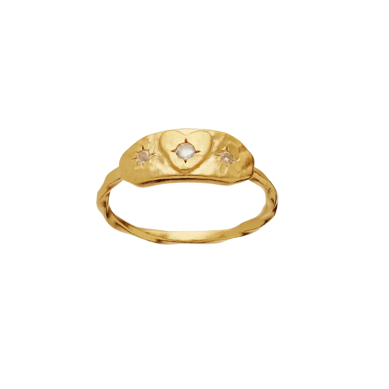 Amarit Ring Gull